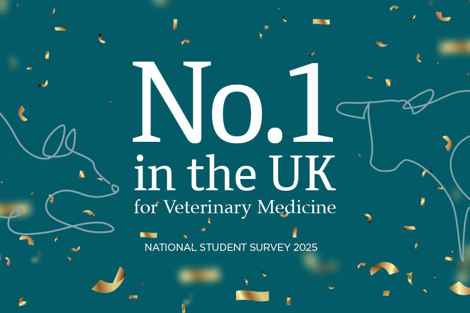 Picture of NSS stat 'No.1 in the UK for Veterinary Medicine (National Student Survey, 2025)'
