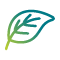 leaf-icon