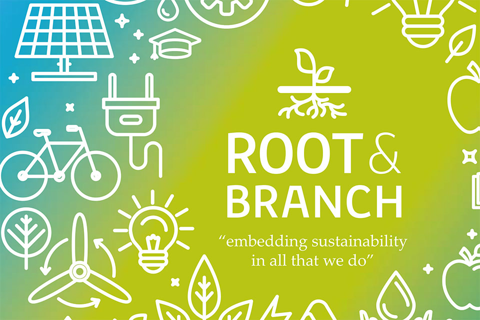 Performance and achievements