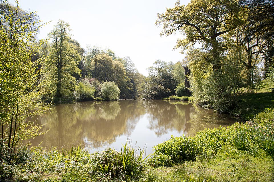 Nature Positive Pledge