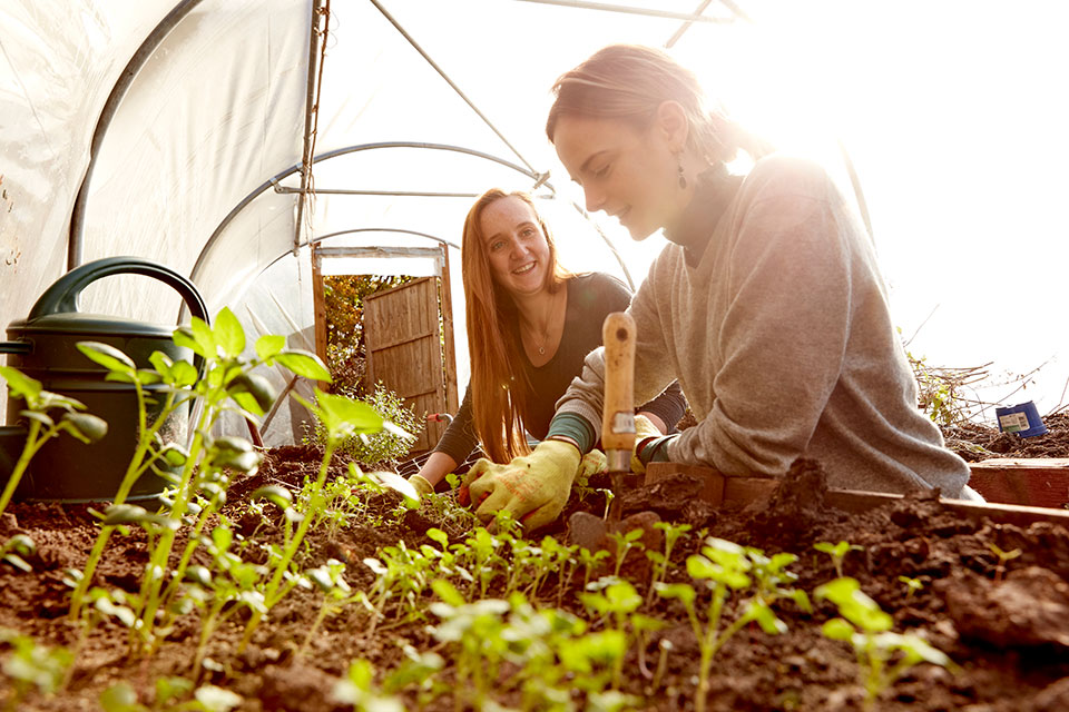 Projects and initiatives