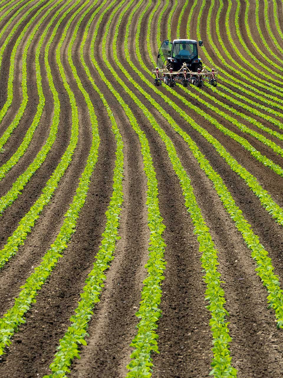 Our challenge themes