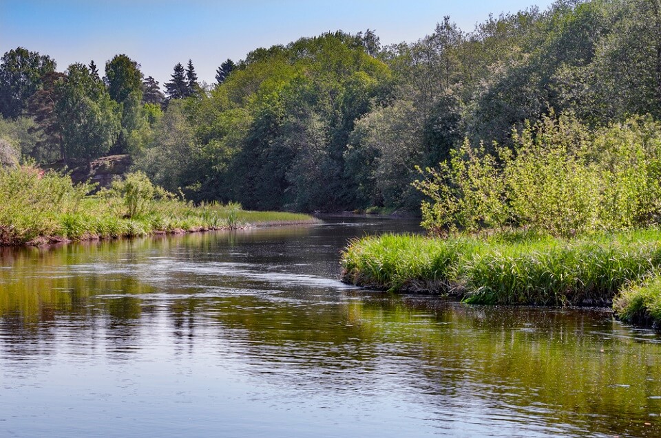 Making freshwater habitats more complex should be key conservation priority, researchers say