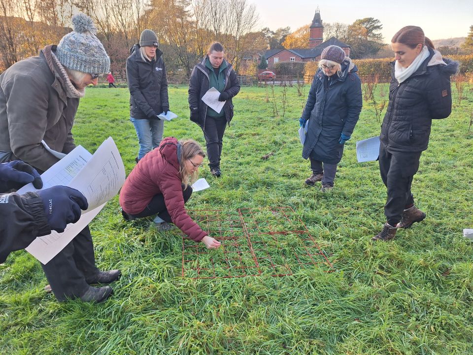 Dozens of sites put forward for greenspaces project