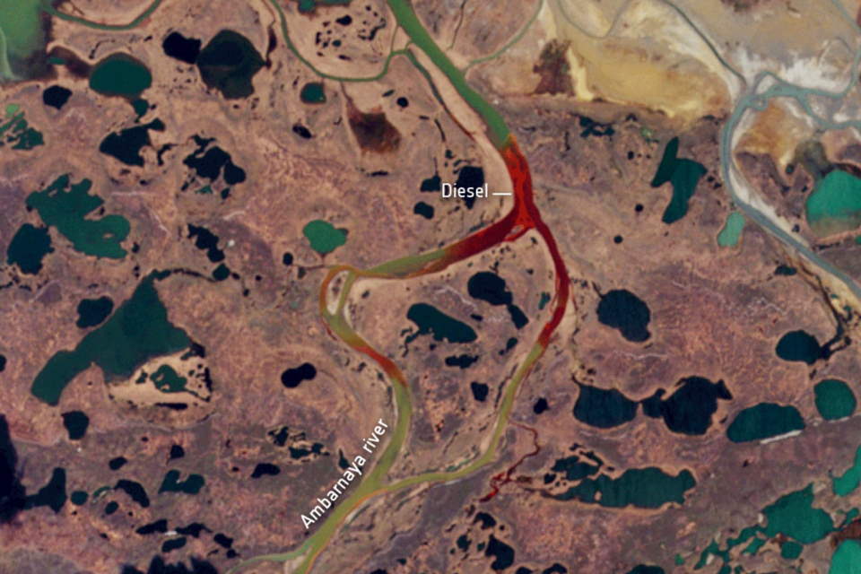 Blog: 20,000-tonne oil spill is contaminating the Arctic