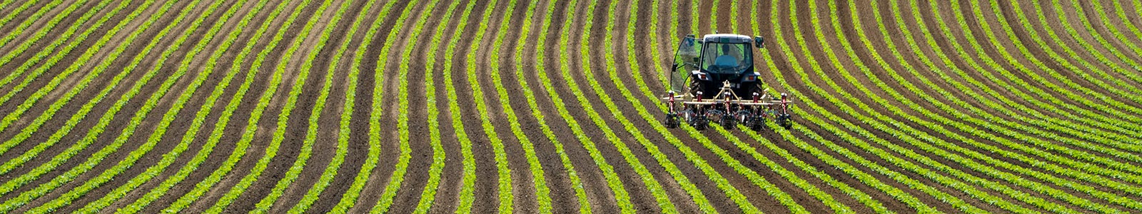 Soil monitoring banner