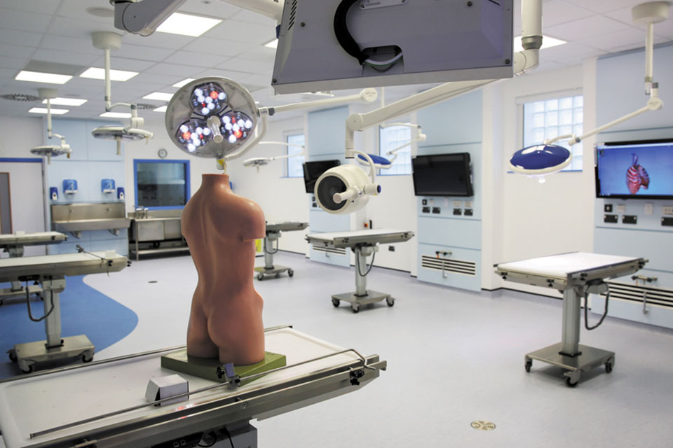 Faculties and Schools