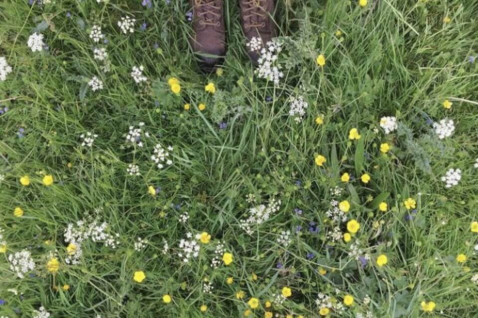 brown boots standing on green grass with wild flowers