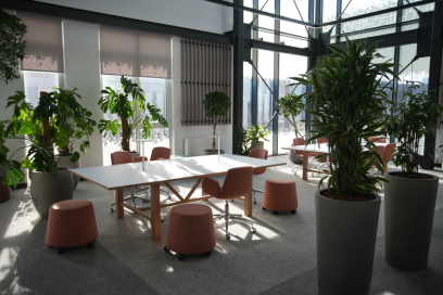 IC7's Winter Garden meeting room