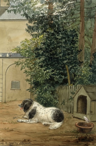 Guy the House Dog at Cheverells, Hertfordshire, 1847, watercolour by Charlotte Augusta Sneyd [SW 4]