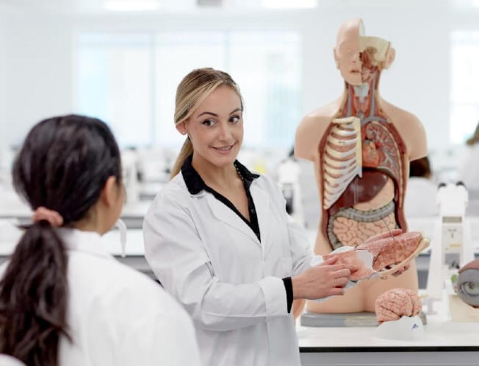 Human Biology students examining human body 
