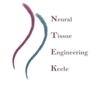 NTEK logo