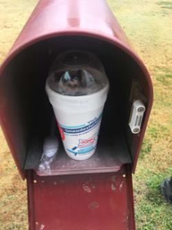 Ice-cream in a disposable cup, in a mailbox