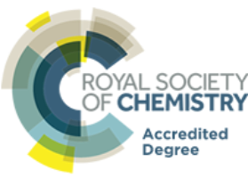 RSC Accredited Degree Logo