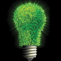 Image of light bulb made of grass