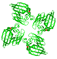 ISTM_Structural_Biology_image08_200x200