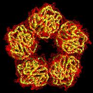 ISTM_Structural_biology_image2_192x192