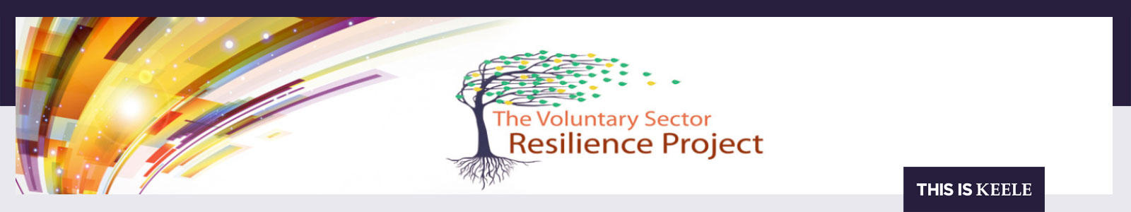 The Voluntary Sector Resilience Project banner