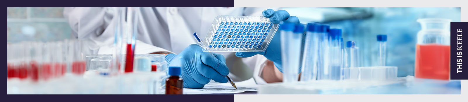 Person holding a pipetting tray